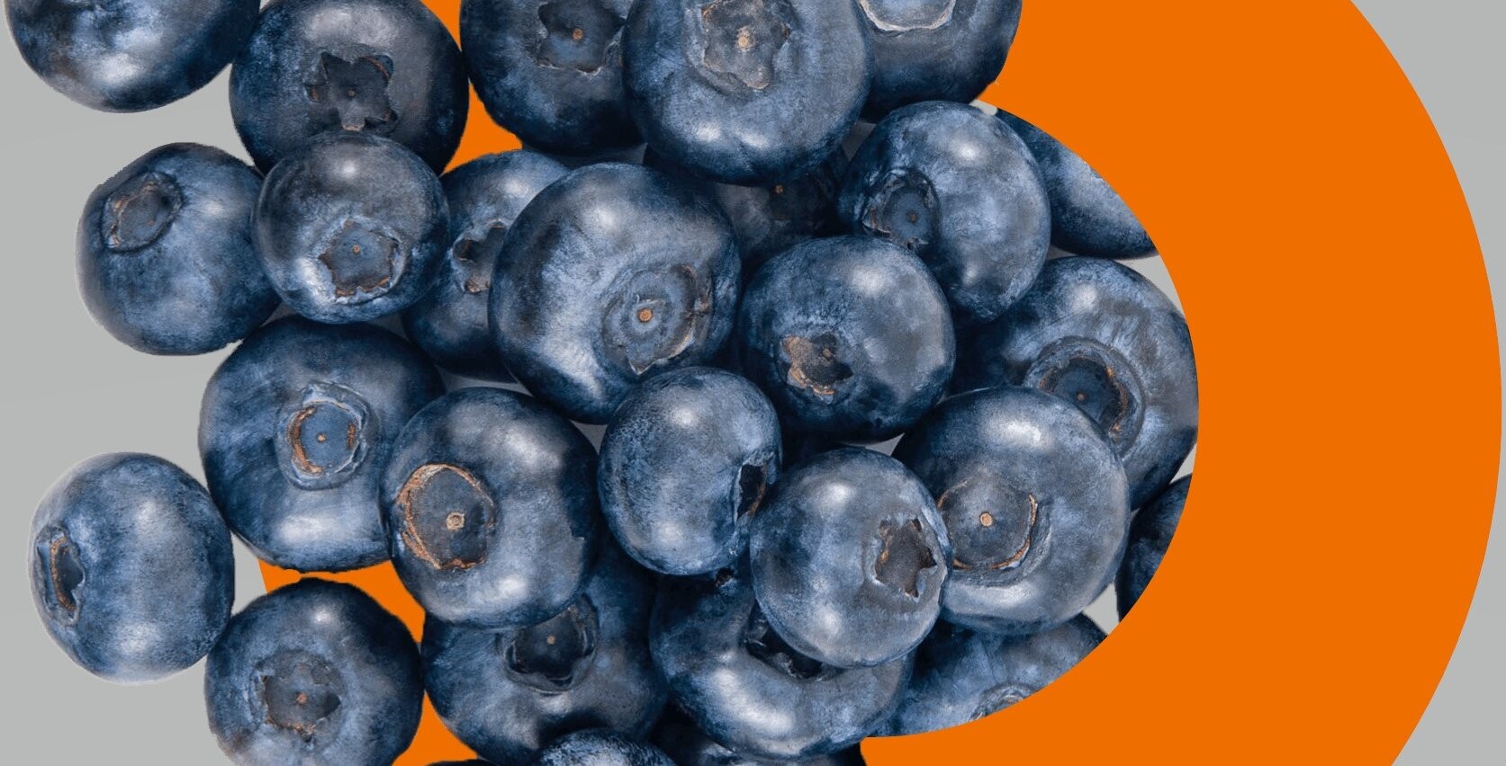 Foodiq circle